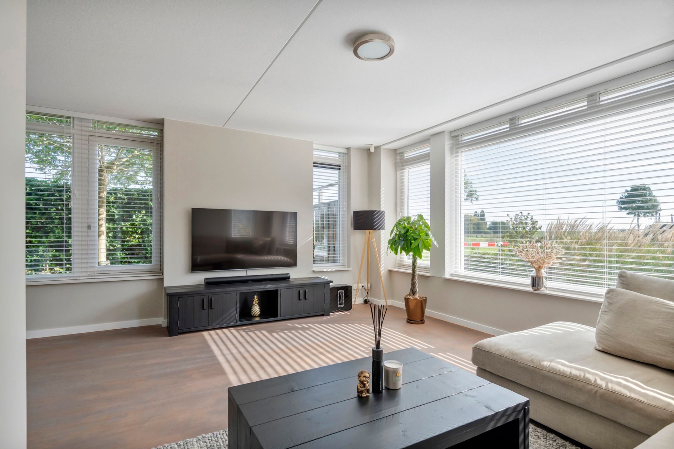 Foto 12 van Groot Koolwitje 9