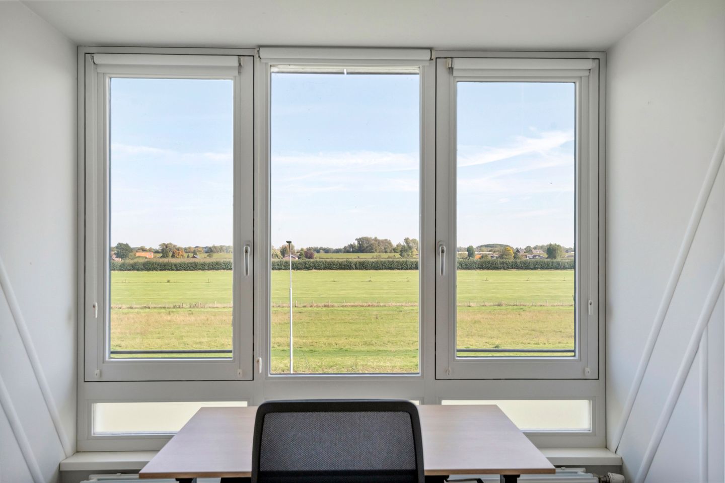 Foto 34 van Groot Koolwitje 9