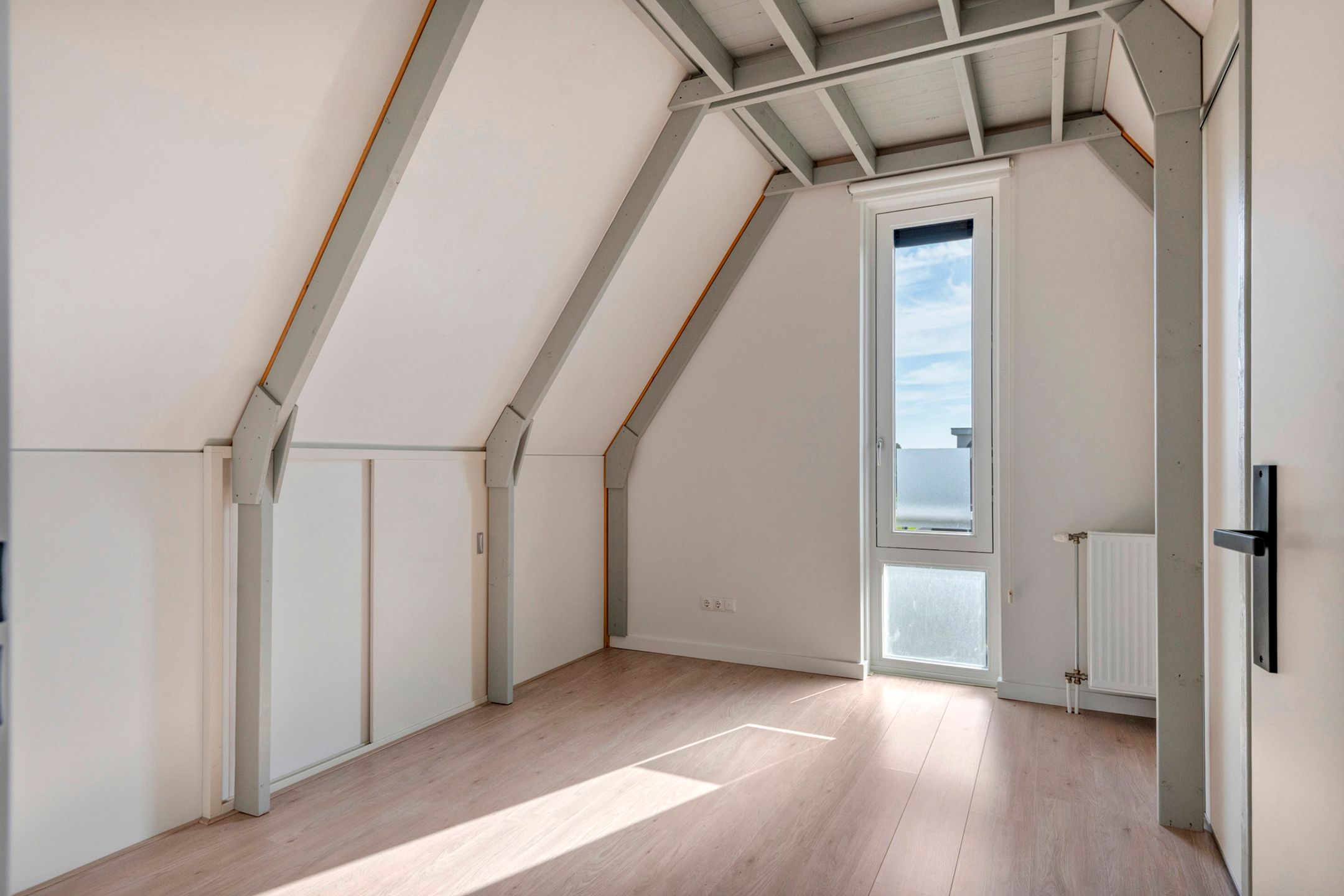 Foto 36 van Groot Koolwitje 9