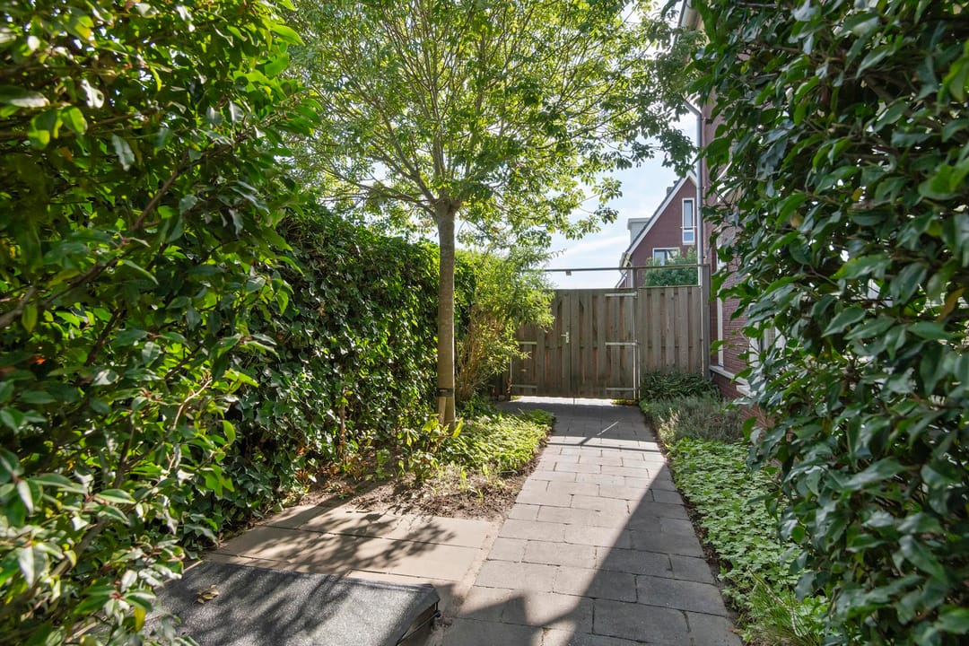 Foto 41 van Groot Koolwitje 9