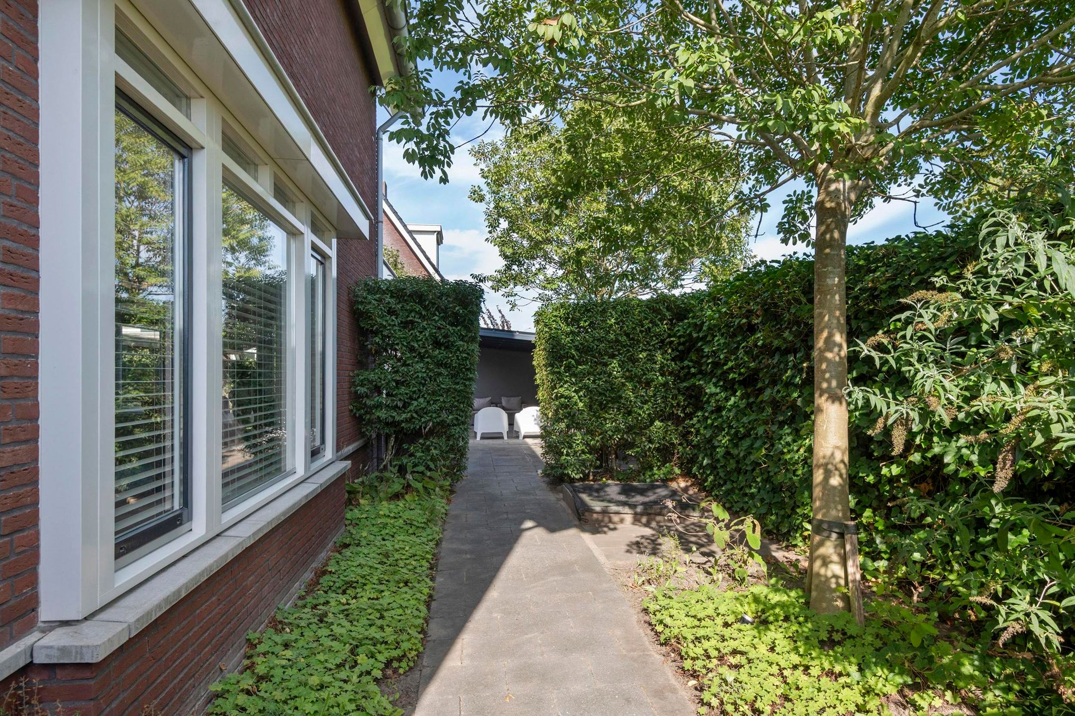 Foto 42 van Groot Koolwitje 9