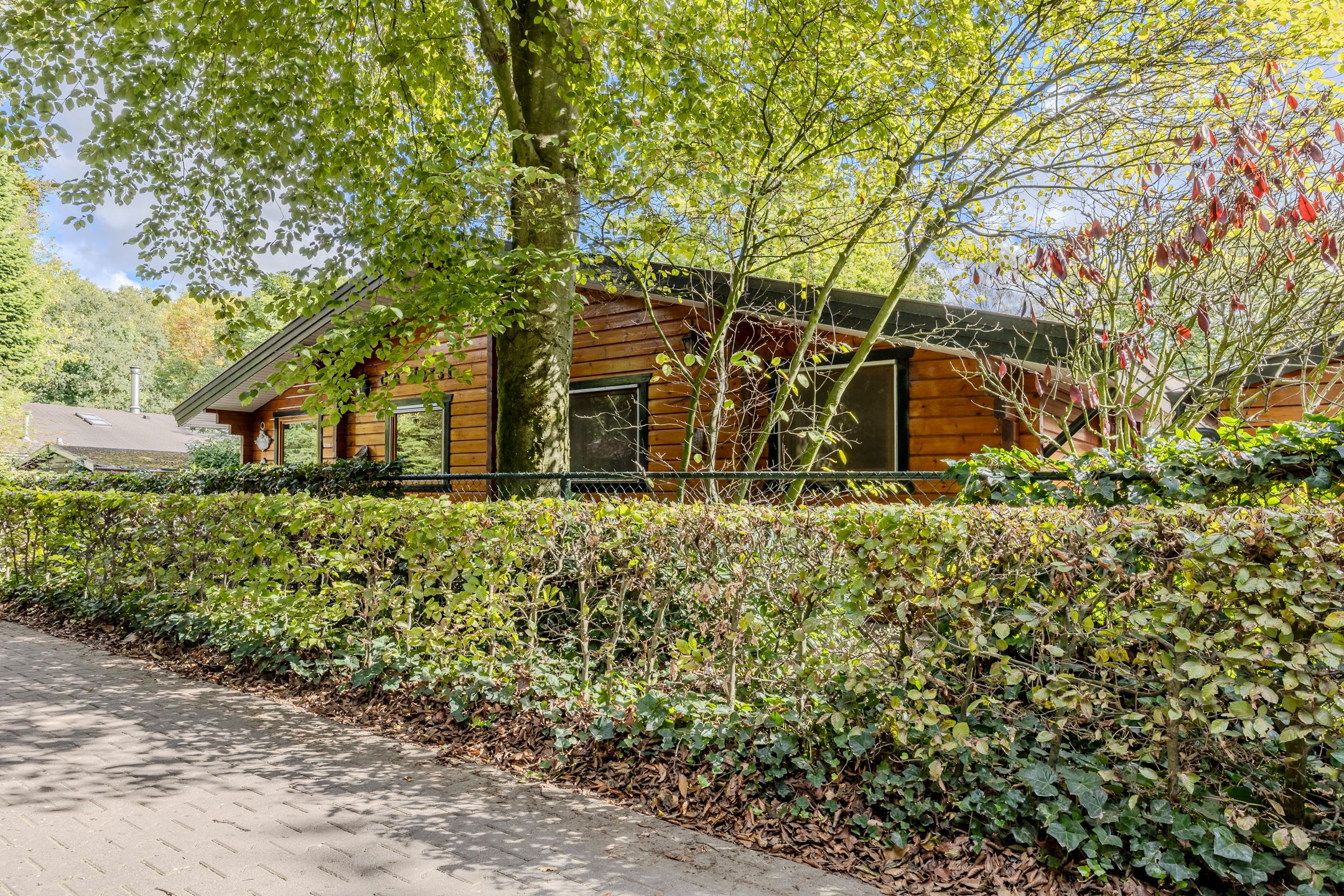 Foto 3 van De Stille Wille 306