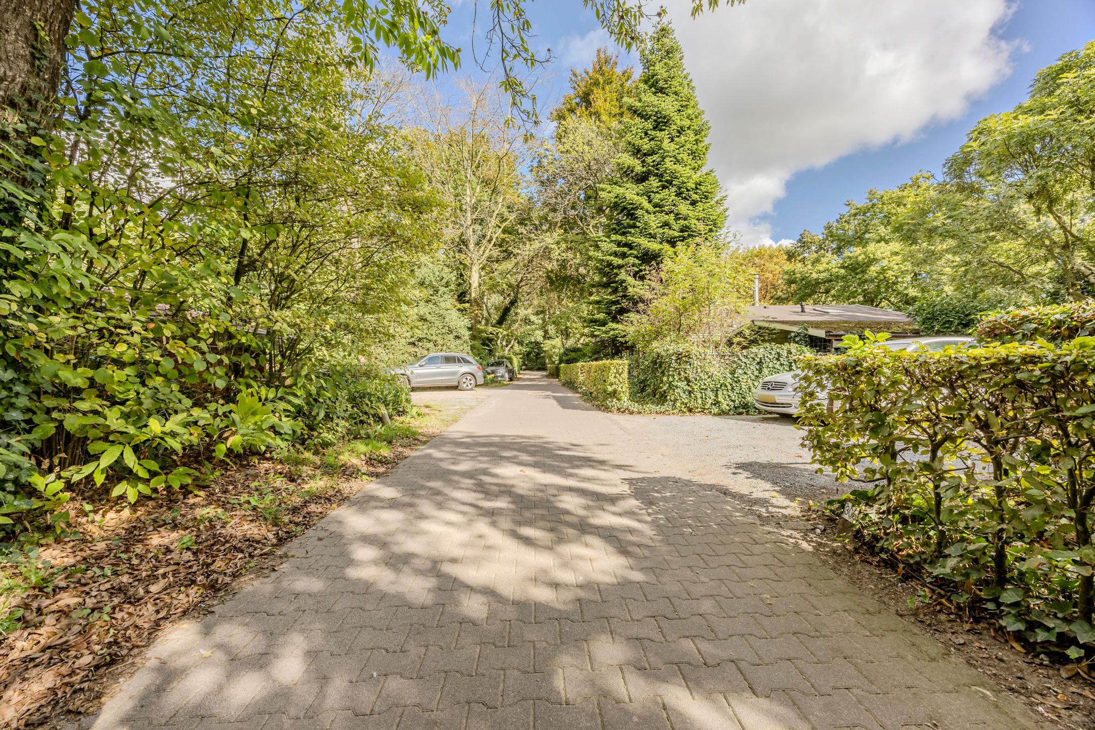 Foto 39 van De Stille Wille 306