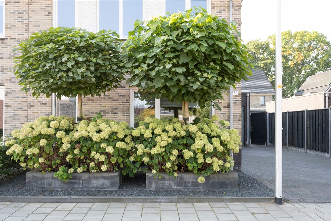 Foto 31 van Papiermolen 75