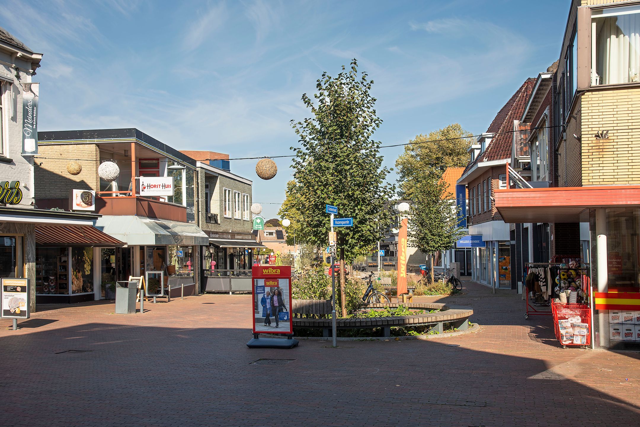 Foto 45 van De Hagen 98