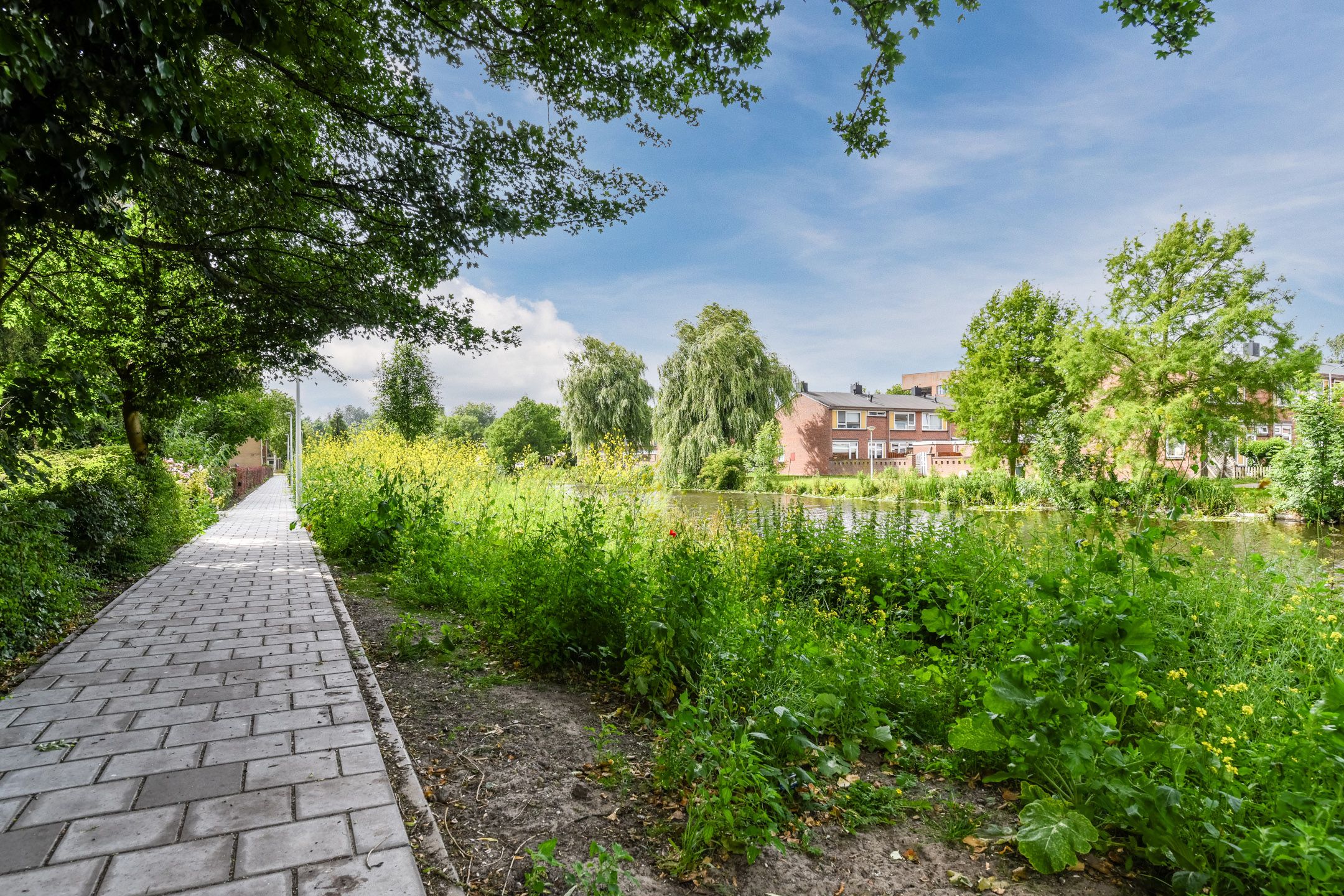 Foto 30 van Leeuwerikstraat 53