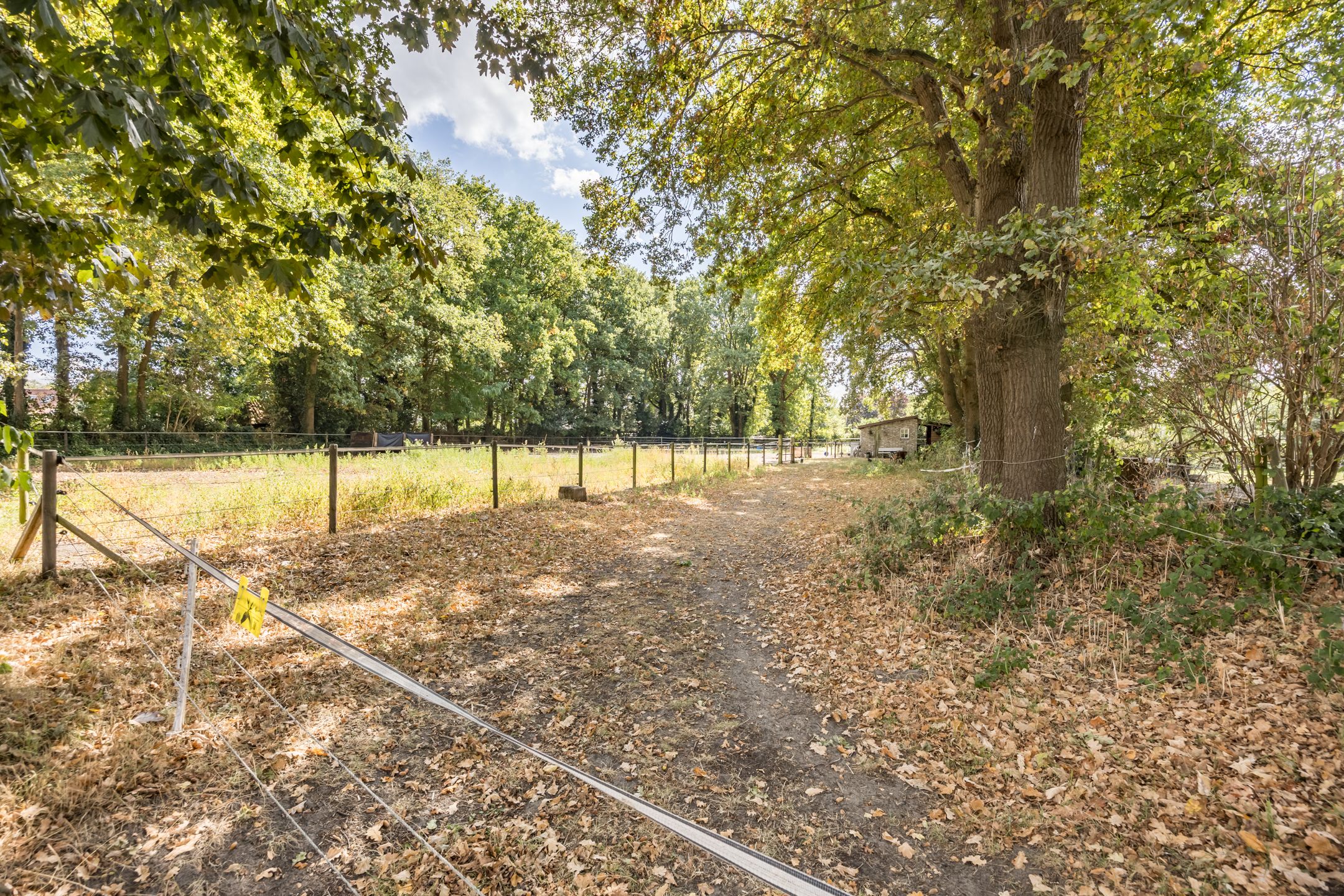 Foto 54 van Kannewielseweg 14-C