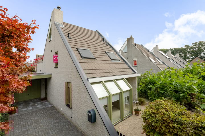 Regenwulp 58 main image