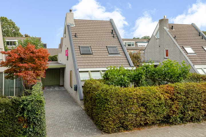 Photo 49 of Regenwulp 58