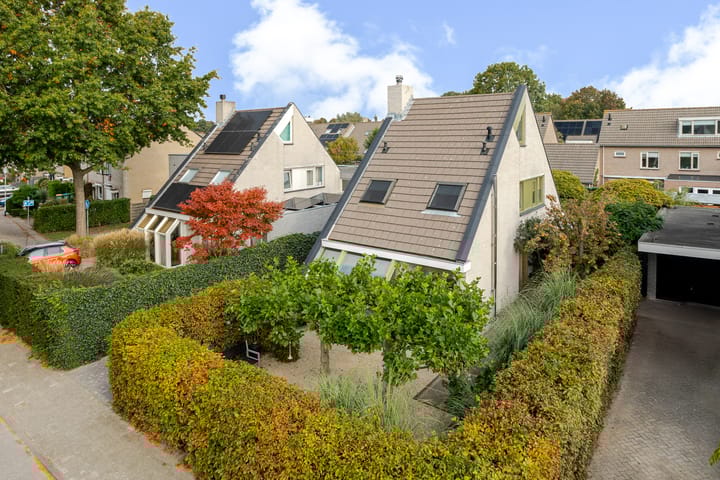 Photo 51 of Regenwulp 58