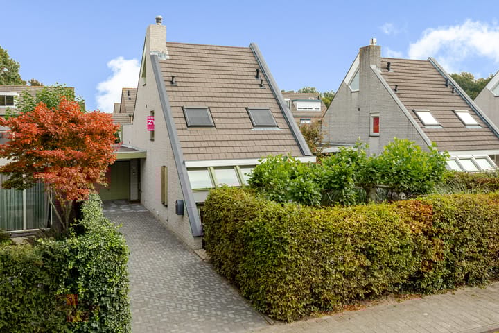 Photo 6 of Regenwulp 58