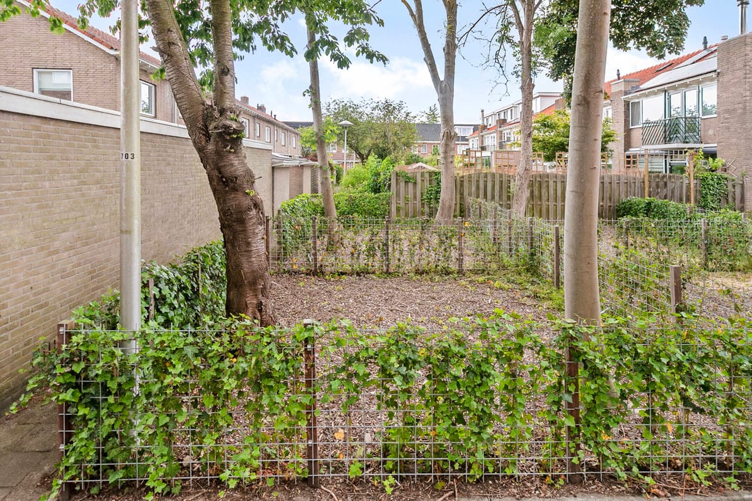 Foto 22 van Ruygenhoeklaan 7-A