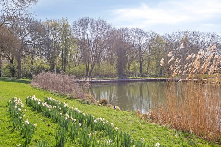 Foto 28 van Ruygenhoeklaan 7-A