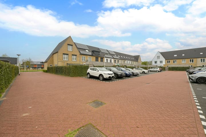 Photo 38 of Koekoek 24