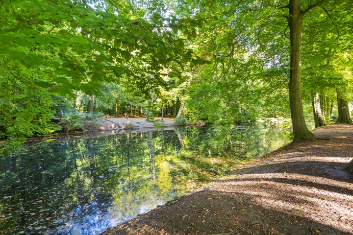 Foto 45 van Laan van Klarenbeek 87