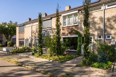 undefined main image