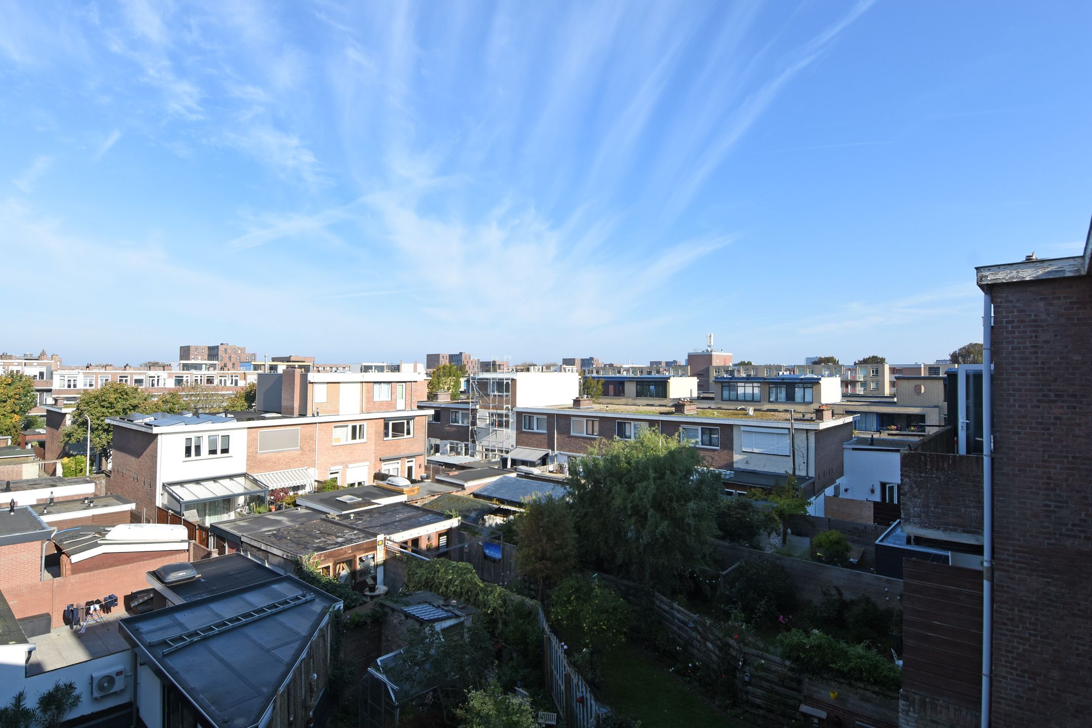 Foto 9 van Tholensestraat 175