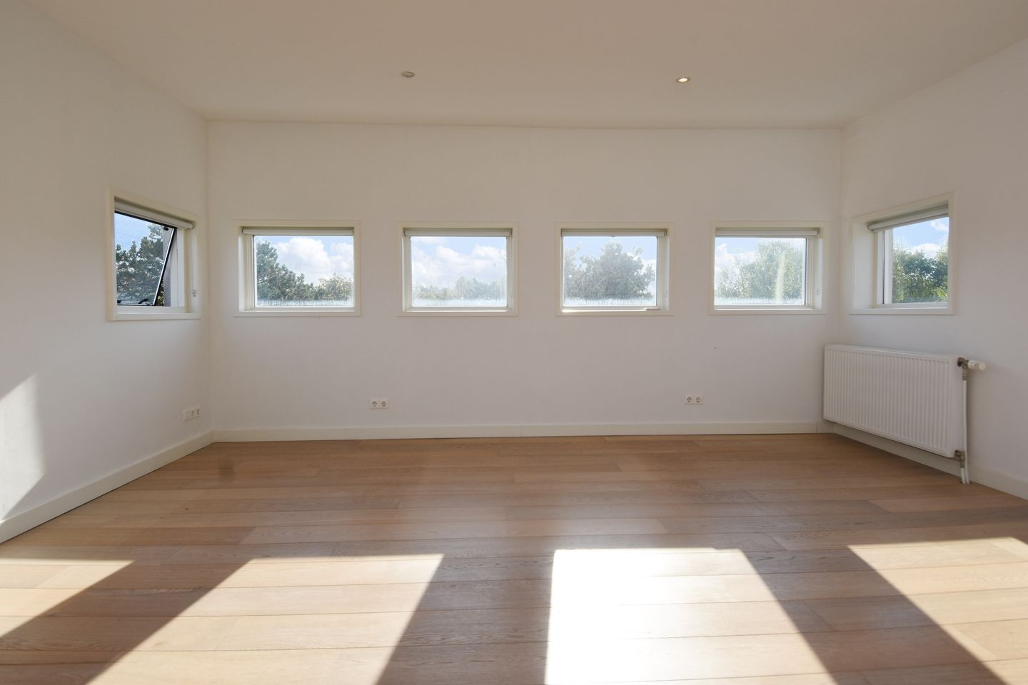 Foto 35 van Tholensestraat 175