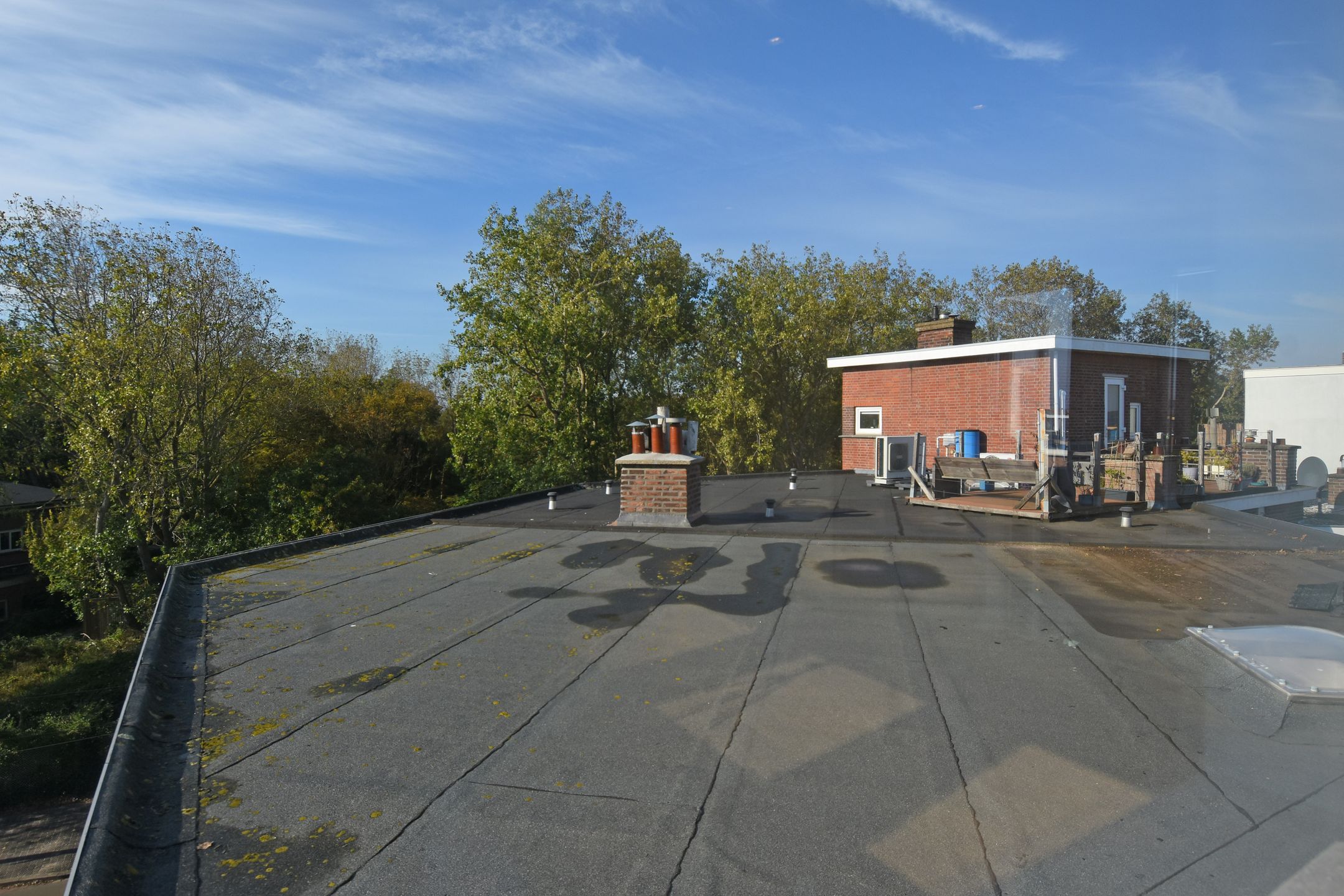 Foto 39 van Tholensestraat 175