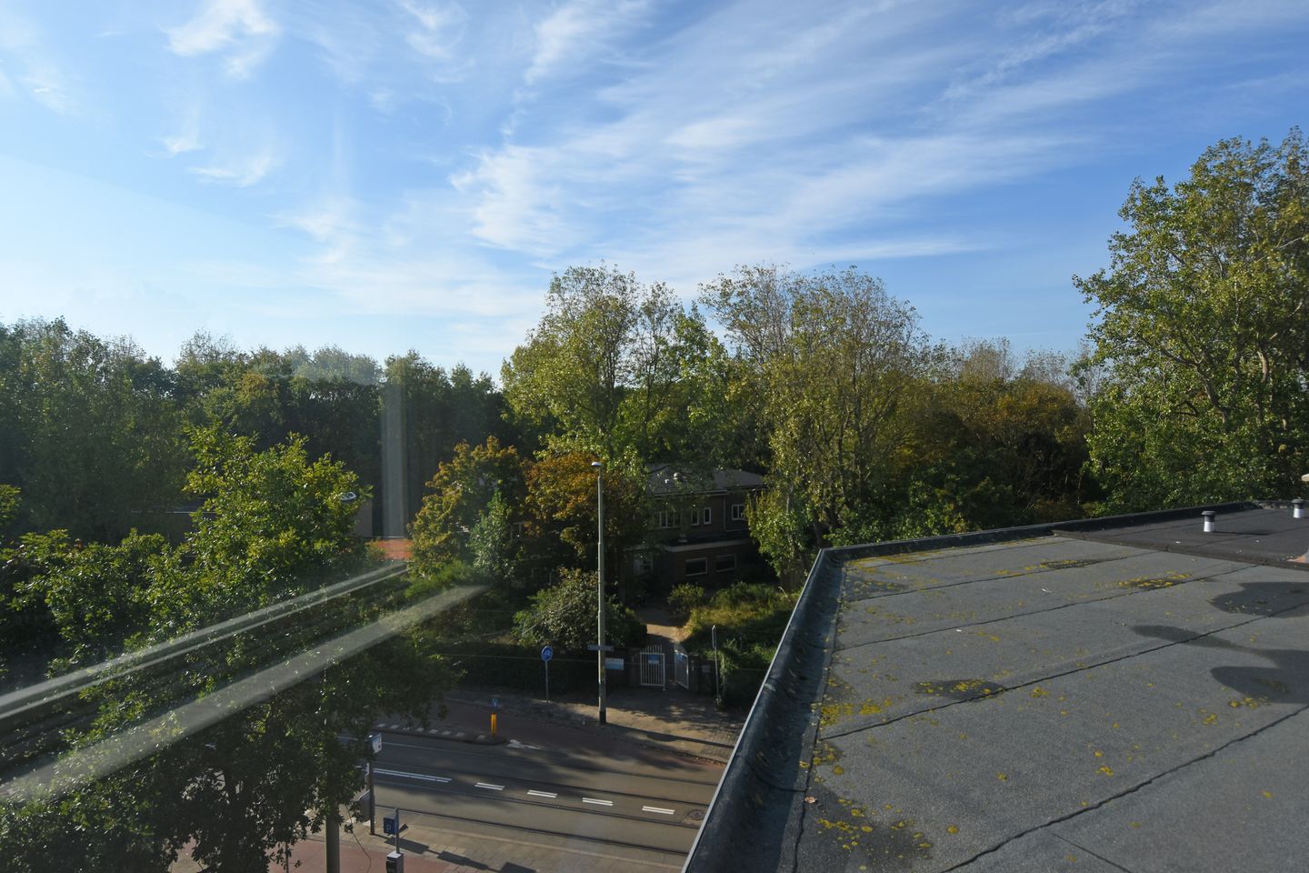 Foto 40 van Tholensestraat 175