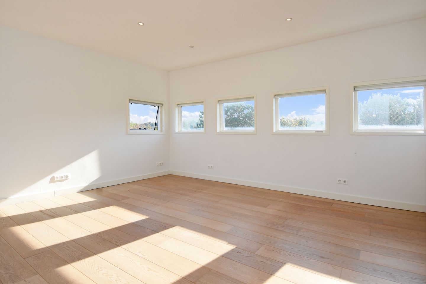 Foto 34 van Tholensestraat 175