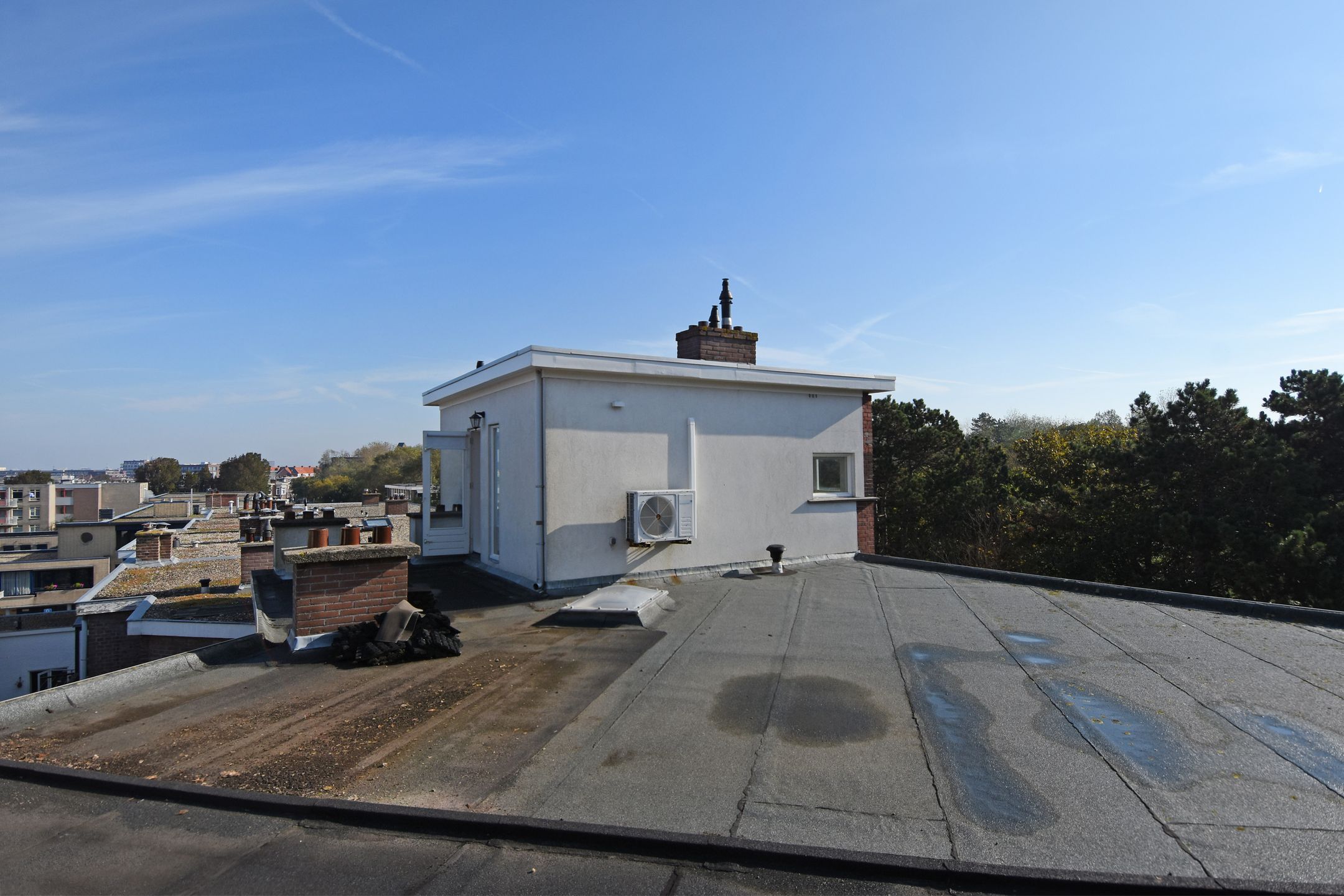 Foto 42 van Tholensestraat 175