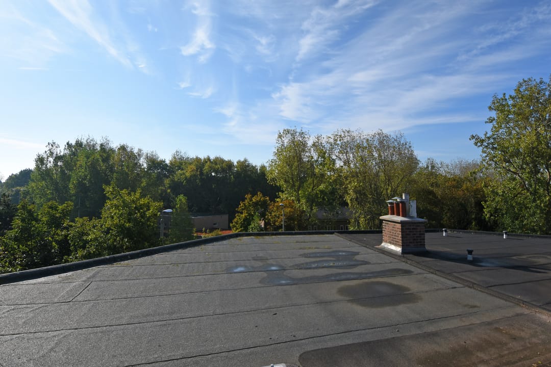 Foto 41 van Tholensestraat 175