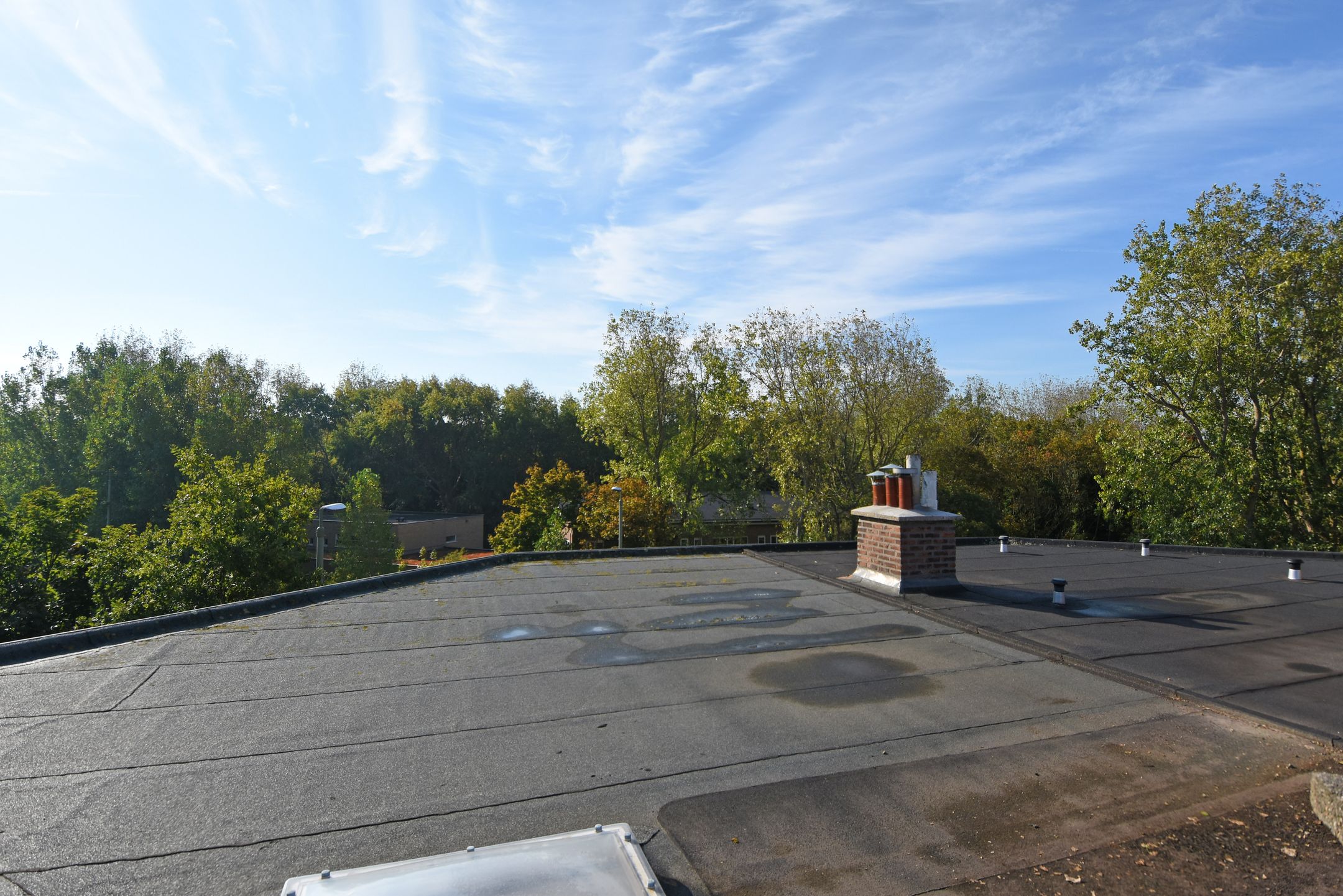 Foto 45 van Tholensestraat 175