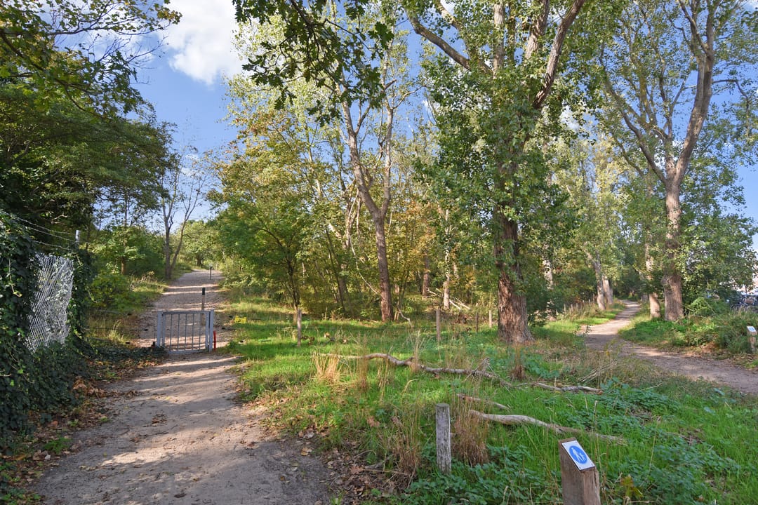 Foto 46 van Tholensestraat 175