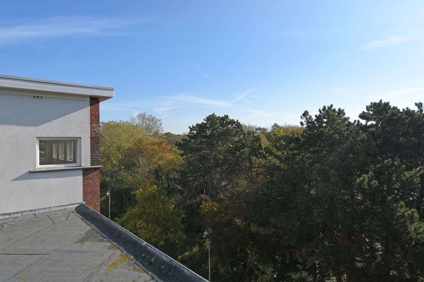 Foto 44 van Tholensestraat 175