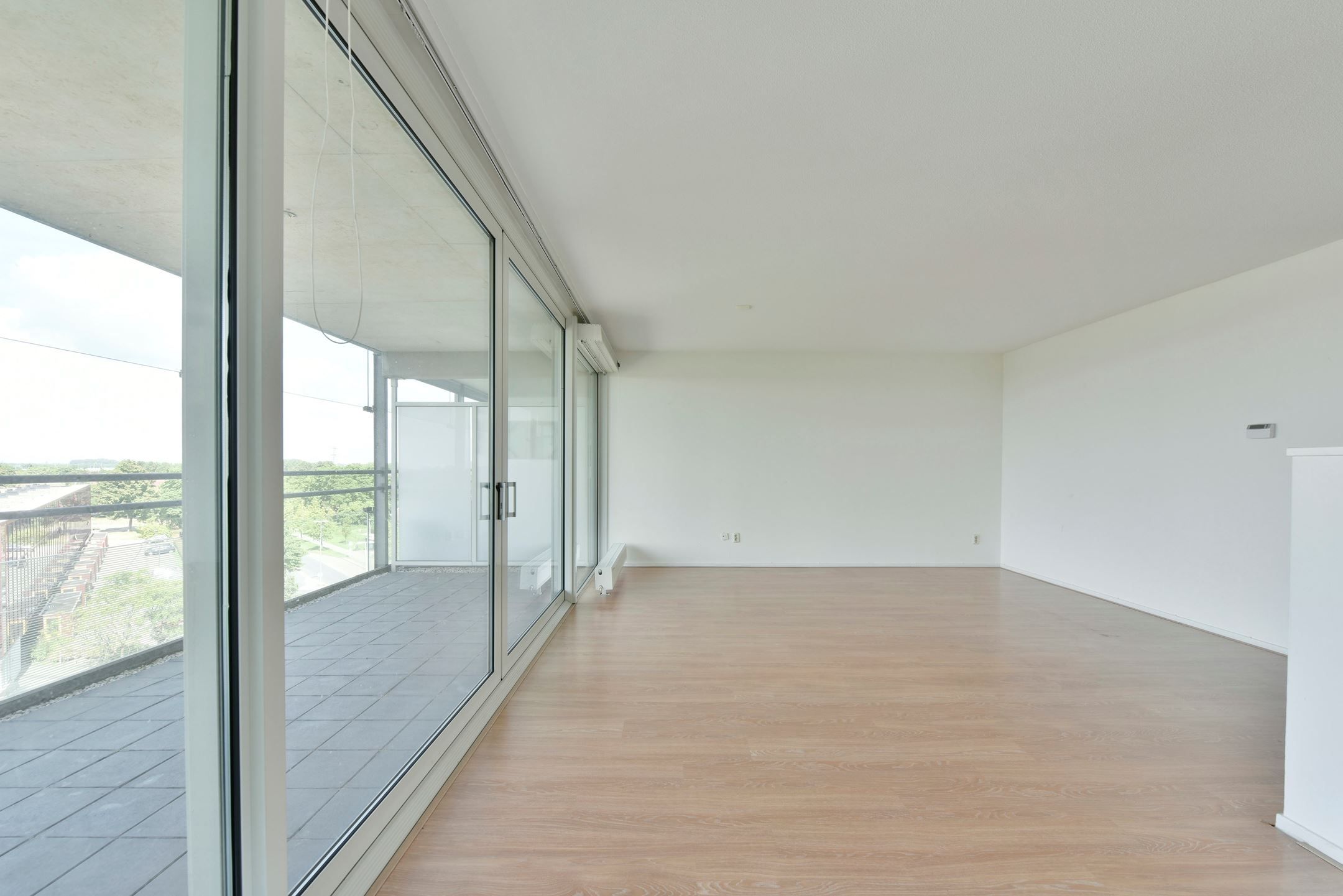 Foto 3 van Sleutelbloem 23