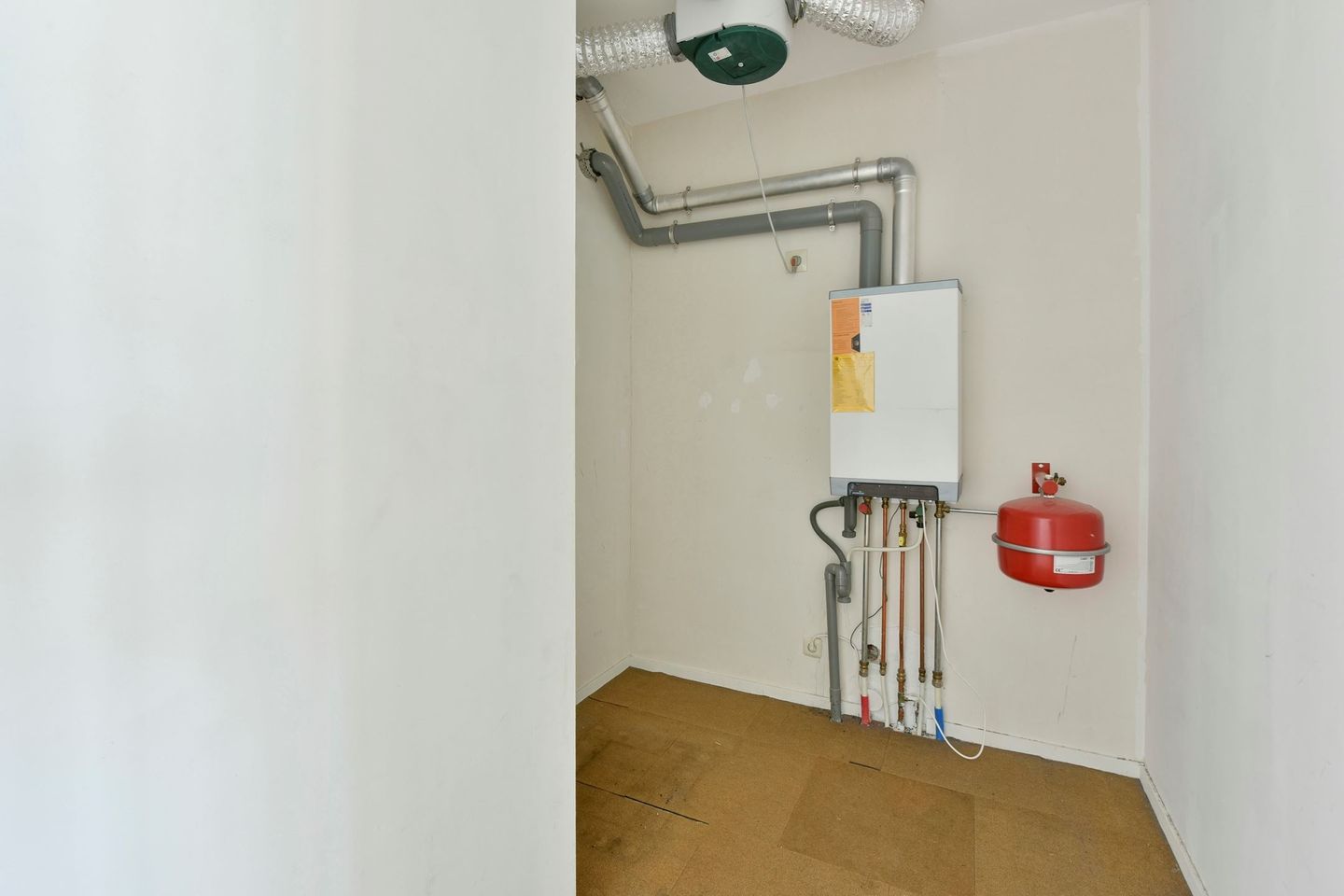 Foto 14 van Sleutelbloem 23