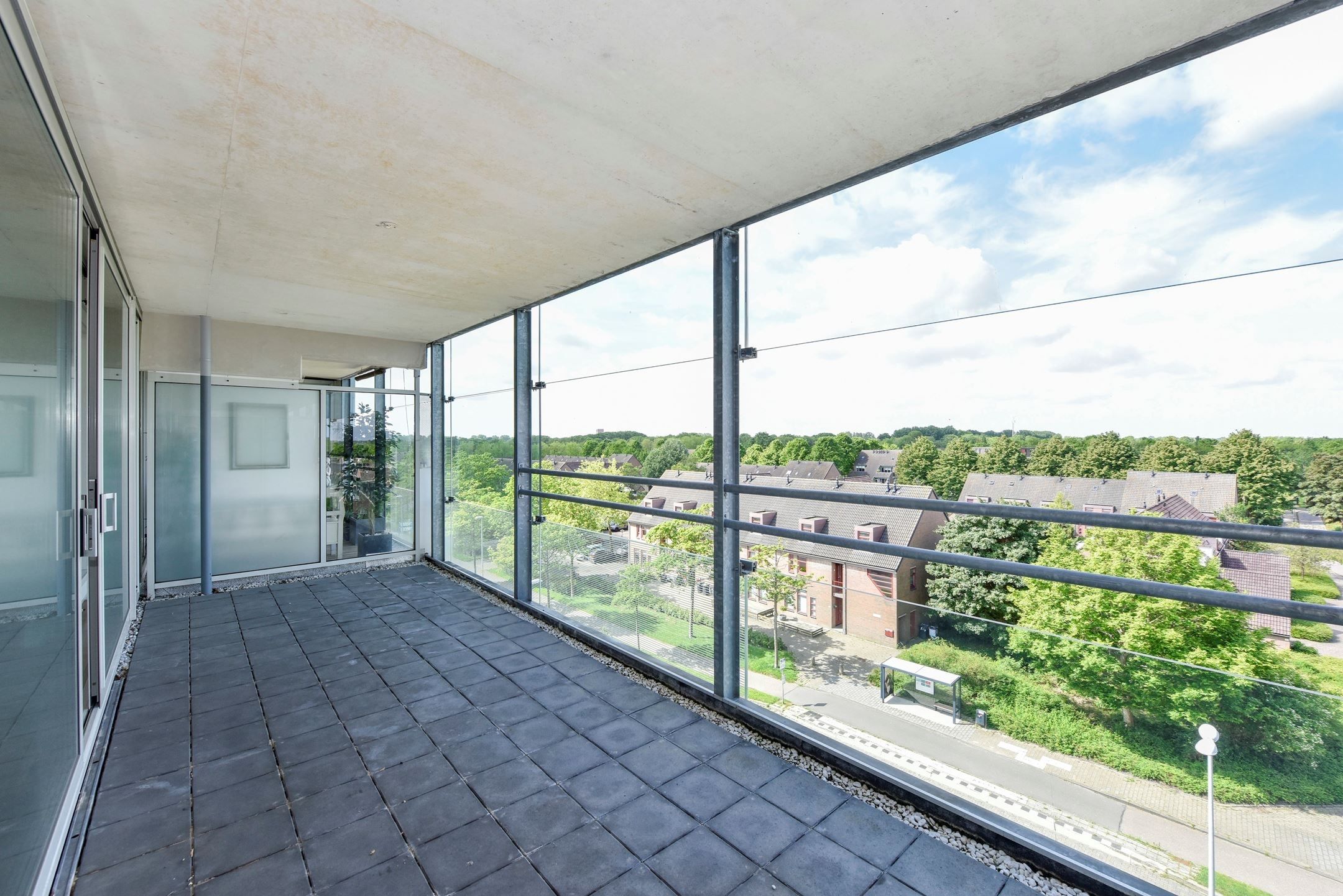 Foto 15 van Sleutelbloem 23