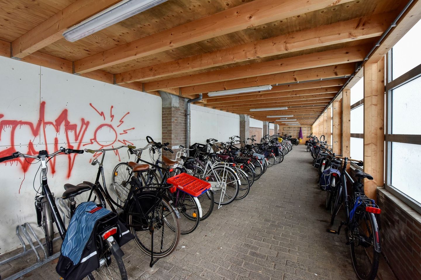 Foto 19 van Sleutelbloem 23