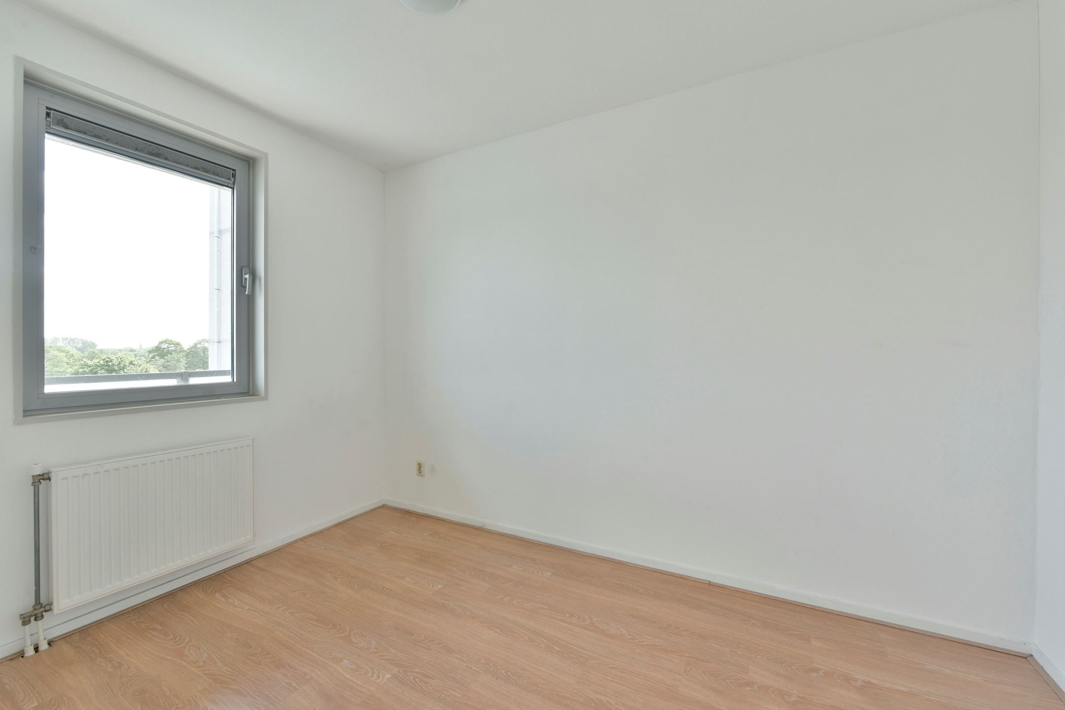 Foto 9 van Sleutelbloem 23