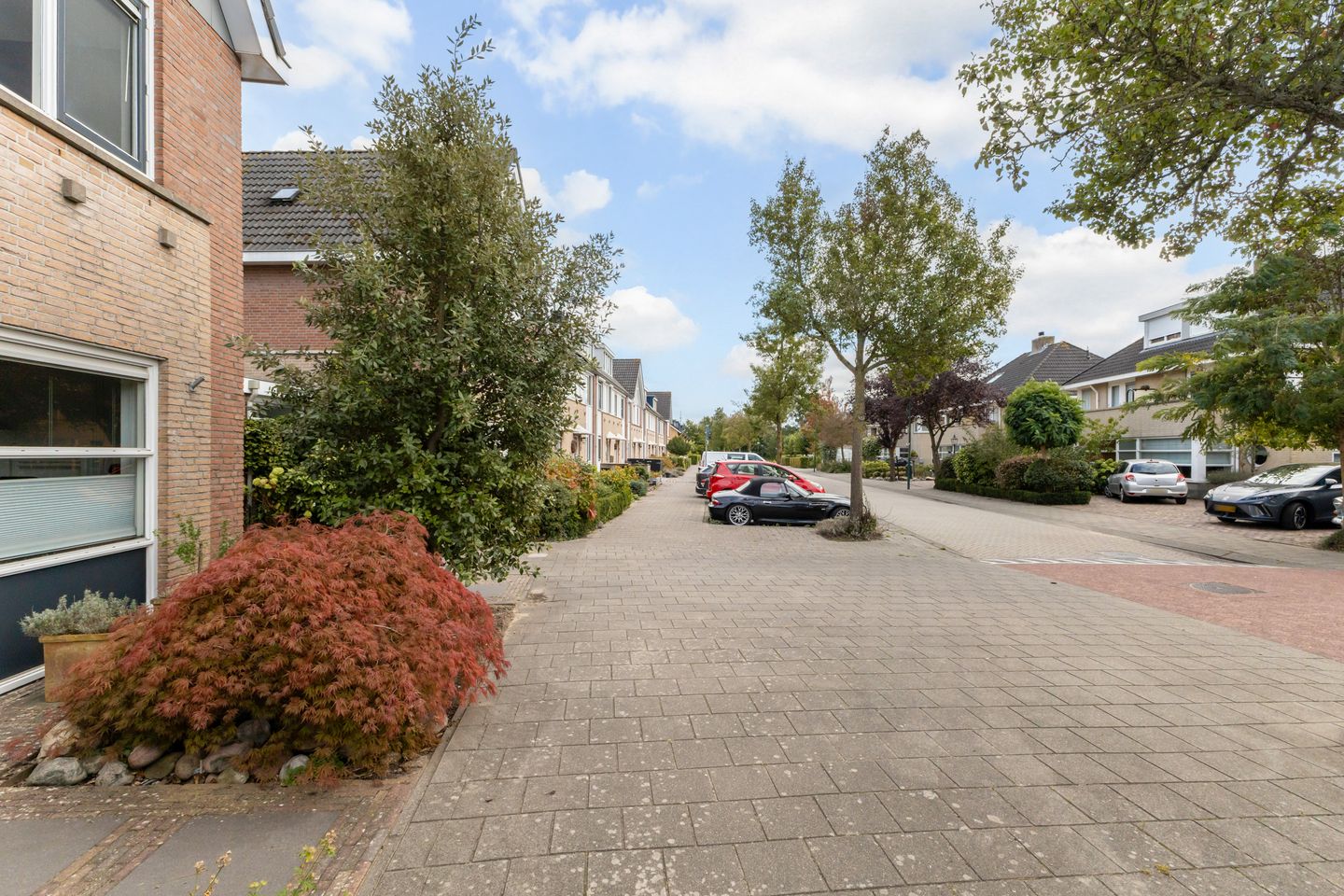 Foto 5 van Romulus 42