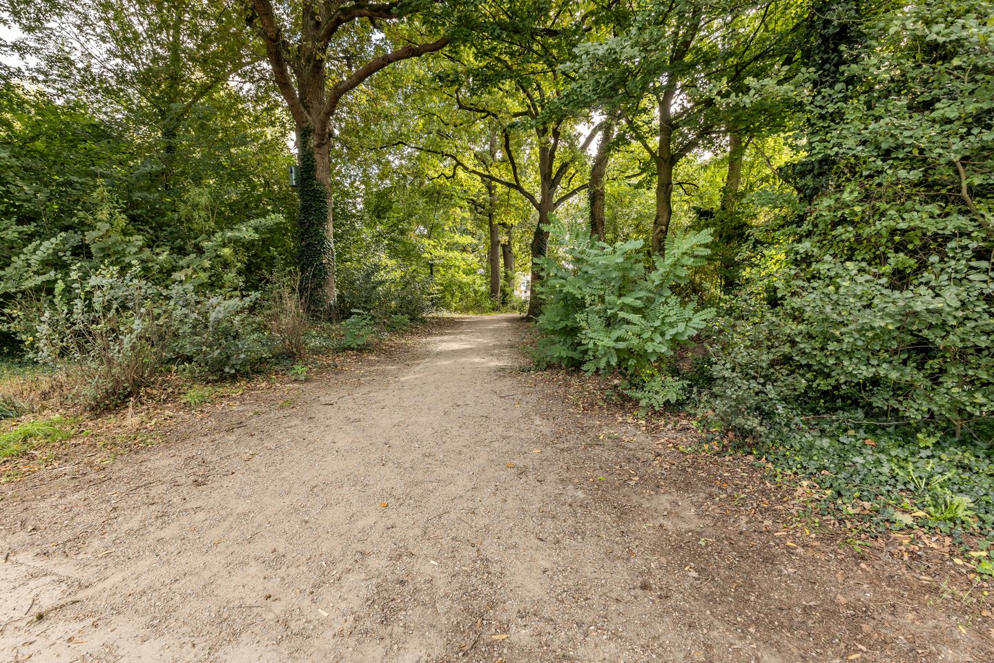 Foto 34 van Nijenrode 1