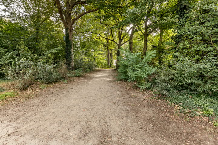 Foto 34 van Nijenrode 1