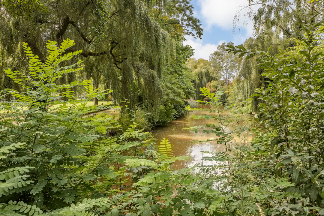 Foto 38 van Nijenrode 1