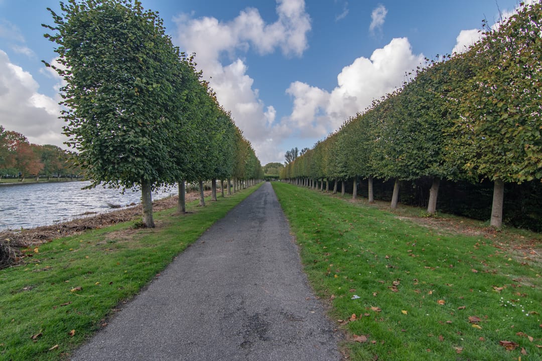 Foto 38 van Woudlaan 31