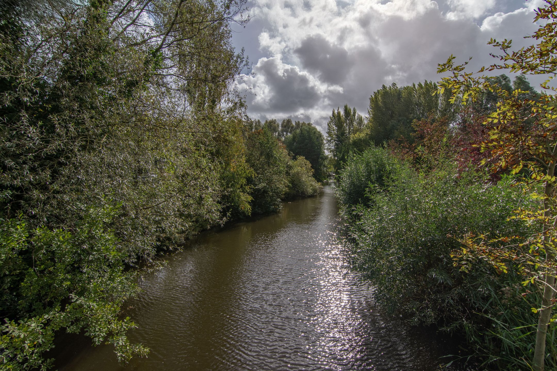 Foto 39 van Woudlaan 31