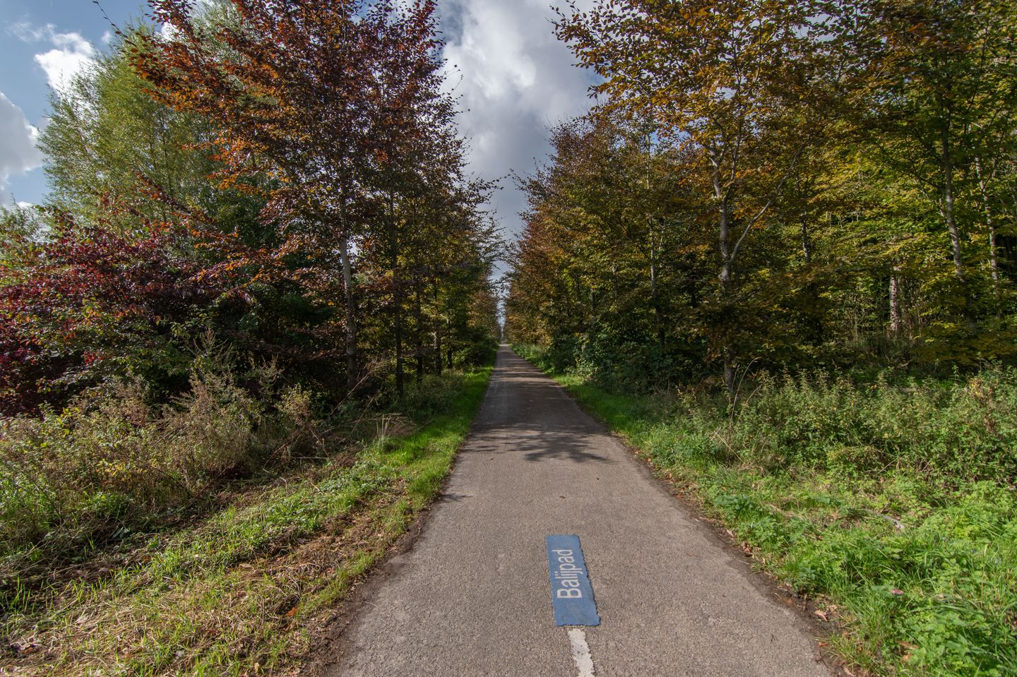 Foto 40 van Woudlaan 31