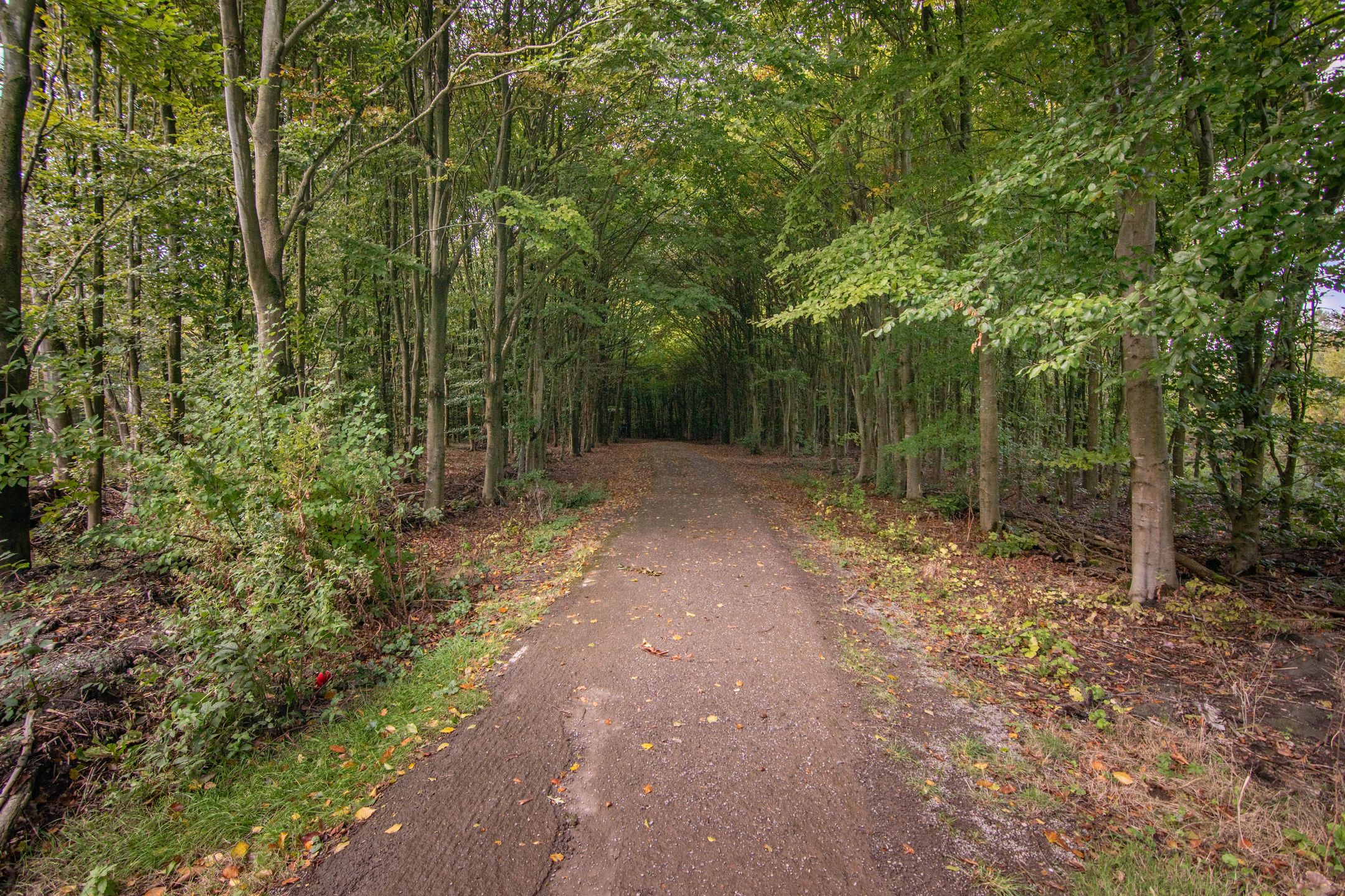 Foto 42 van Woudlaan 31