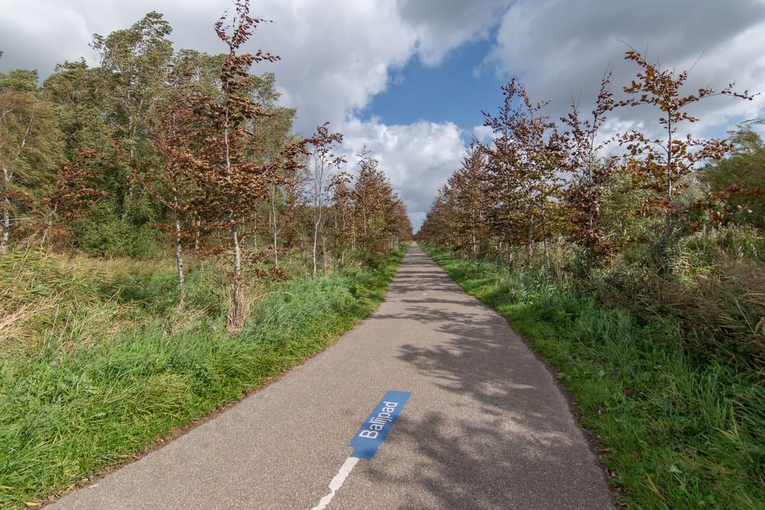 Foto 43 van Woudlaan 31