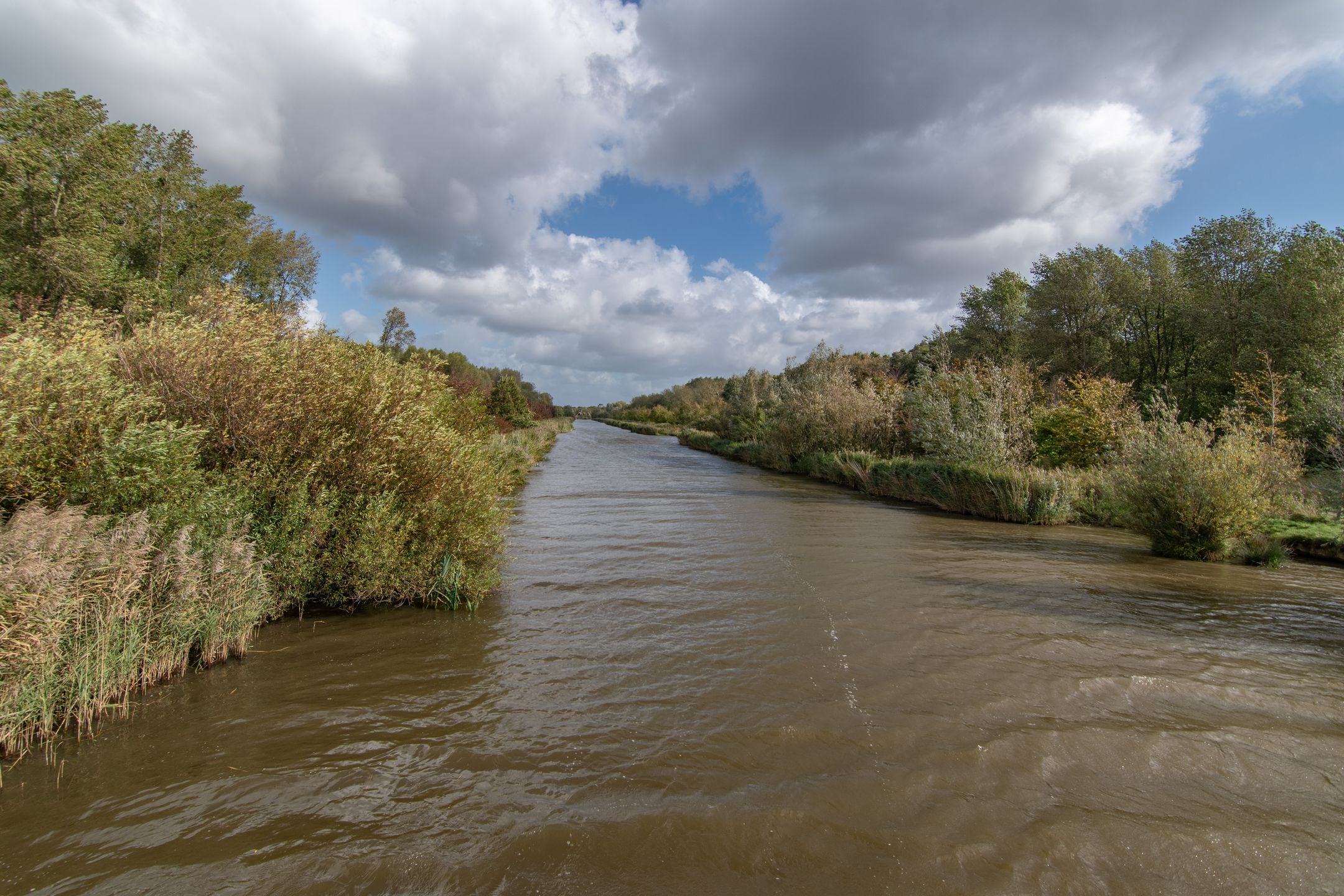 Foto 45 van Woudlaan 31