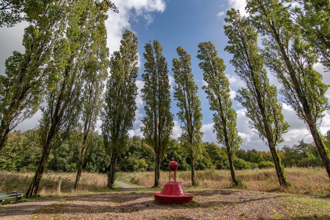 Foto 46 van Woudlaan 31