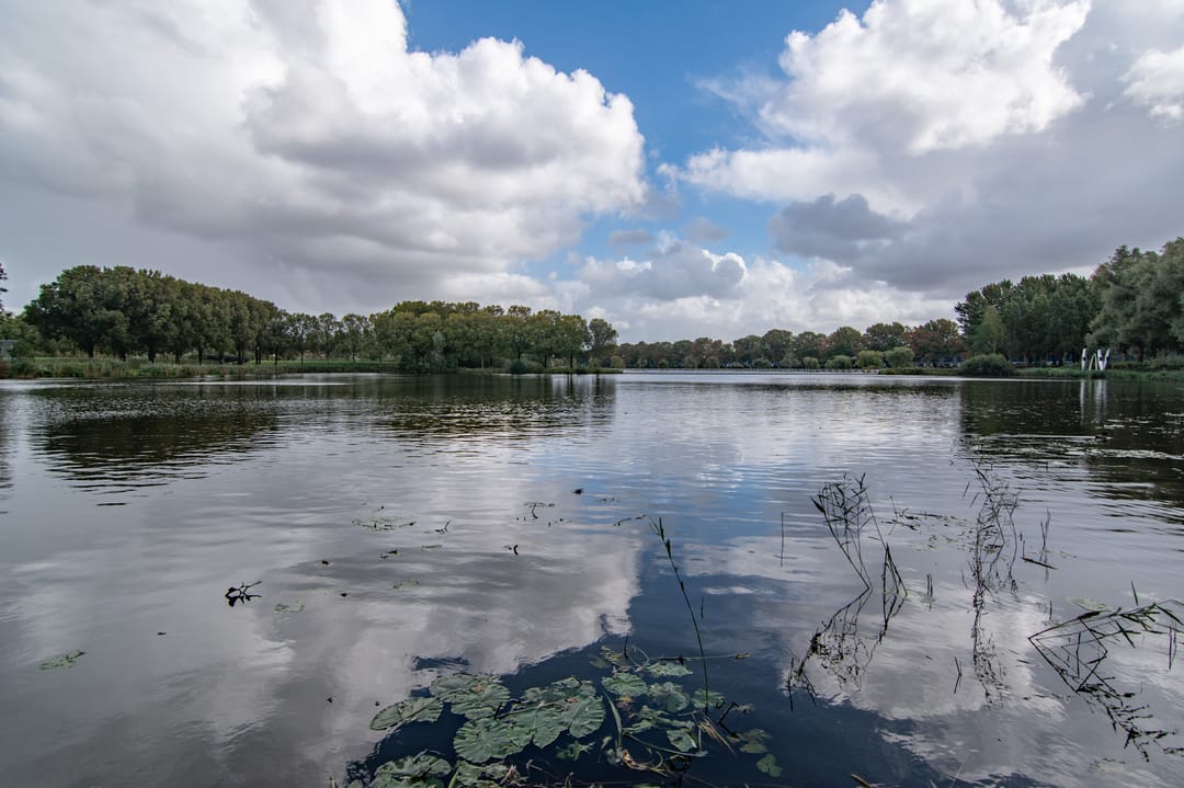 Foto 47 van Woudlaan 31