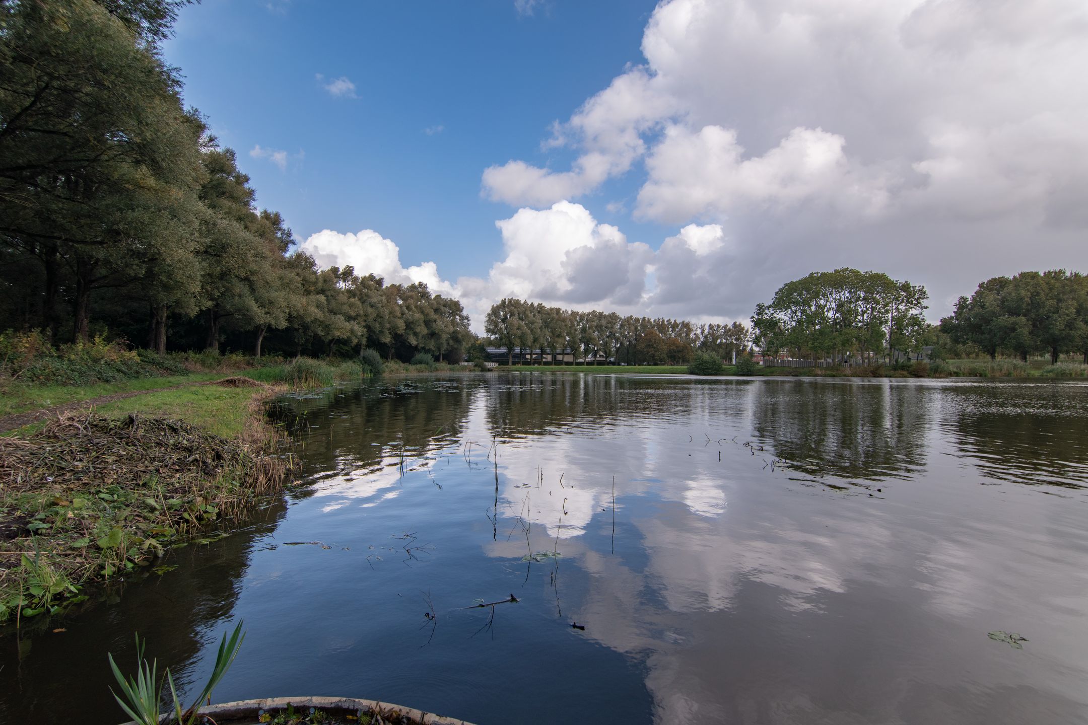 Foto 48 van Woudlaan 31