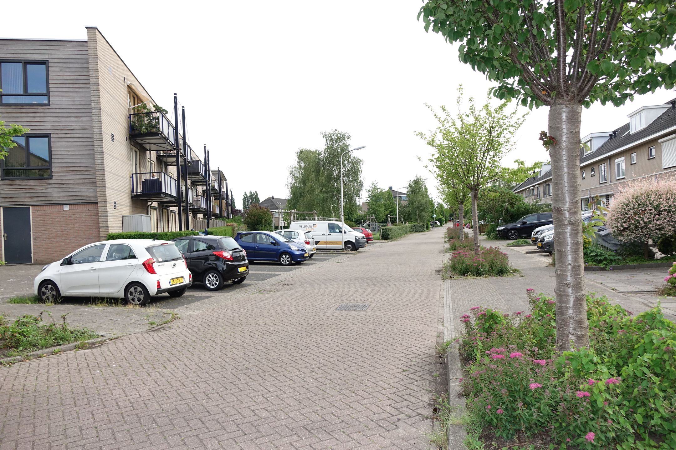 Photo 3 of Witkopeend 8