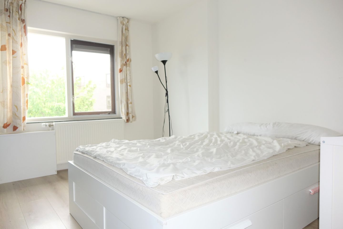 Photo 10 of Witkopeend 8